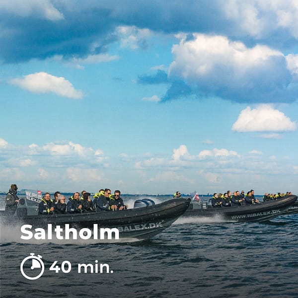 Bådtur til Saltholm